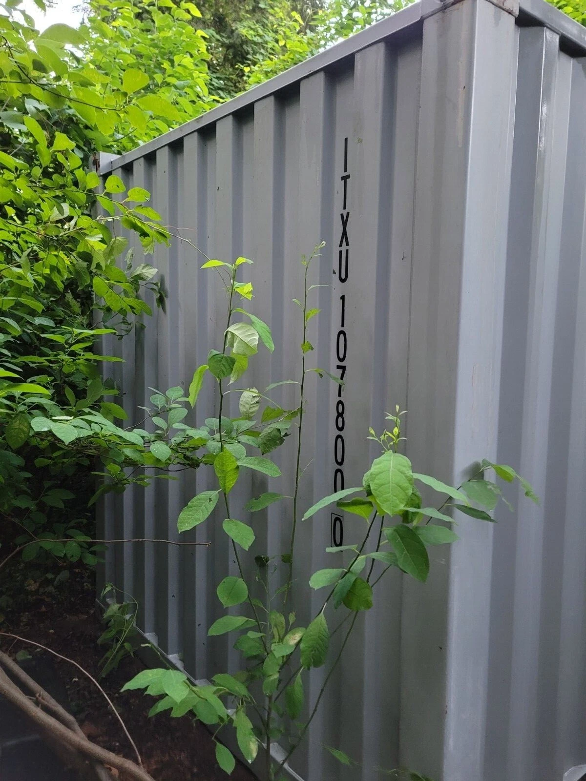 20' Used Steel Shipping Container Storage Container - Image 3